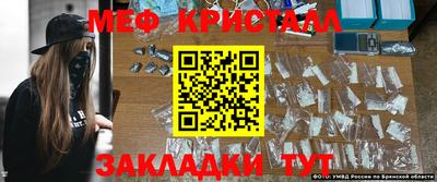 амф Сланцы