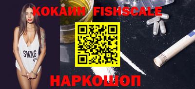 амф Сланцы