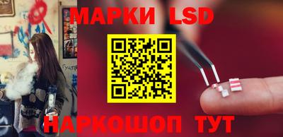 амф Сланцы