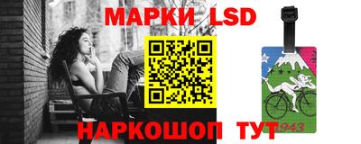 амф Сланцы