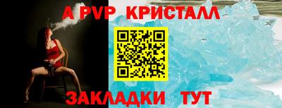 амф Сланцы