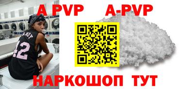 амф Сланцы